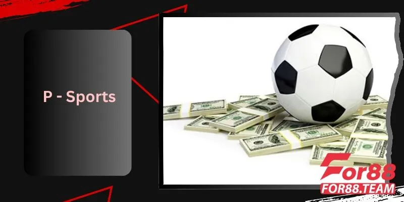 P - Sports For88 Kết Nối Người Chơi Trên Toàn Quốc